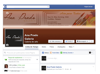 FANPAGE Ana Prado Galeria